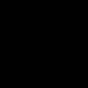 Meet your Posher, Cesar